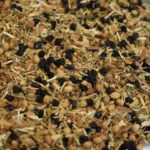 RAVS Ease Her Tea Blend NZ Organic Herbal Support for Menstrual Flow